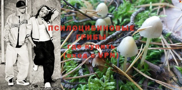 PSILOCYBIN Снежногорск