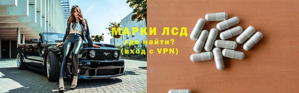 PSILOCYBIN Снежногорск