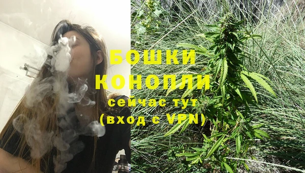 PSILOCYBIN Снежногорск